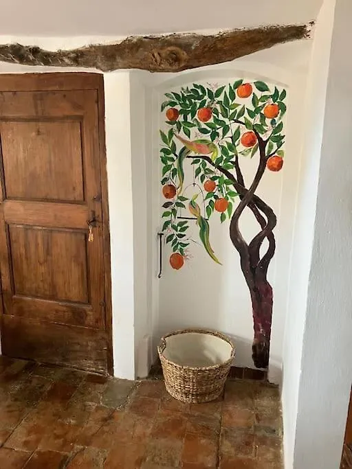 Le Baguier, Maison De Caractere Dans Hameau Typique Provencal Seillans France