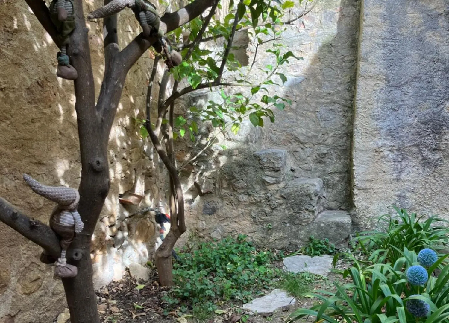 Le Baguier, Maison De Caractere Dans Hameau Typique Provencal Seillans 0*,